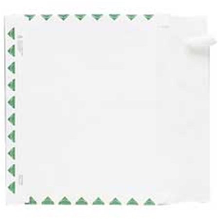 THE WORKSTATION Products  Tyvek Open-Side Envelope- 1st Class- 10in.x13in.x2in.- 100-CT- White TH840616